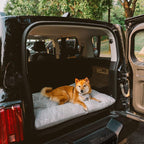 Tapis apaisant double face en peluche lavable pour chien