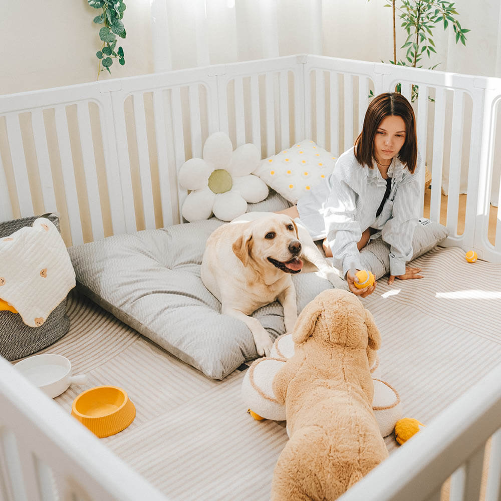 Tapis apaisant double face en peluche lavable pour chien