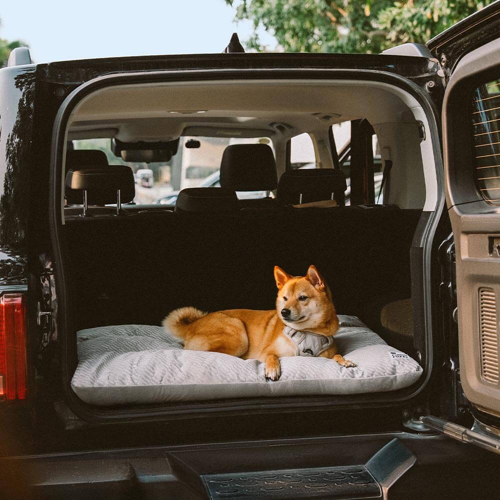 Tapis apaisant double face en peluche lavable pour chien