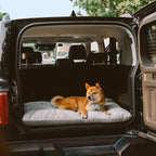 Tapis apaisant double face en peluche lavable pour chien