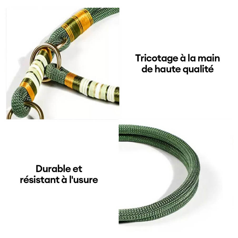 Collier de dressage pour chien en corde tressée main-Exclusif app