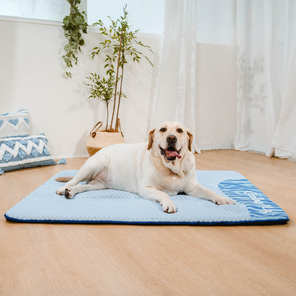 Tapis pour chien grande taille lavable rafraîchissant et antidérapant - Sieste rafraîchissante