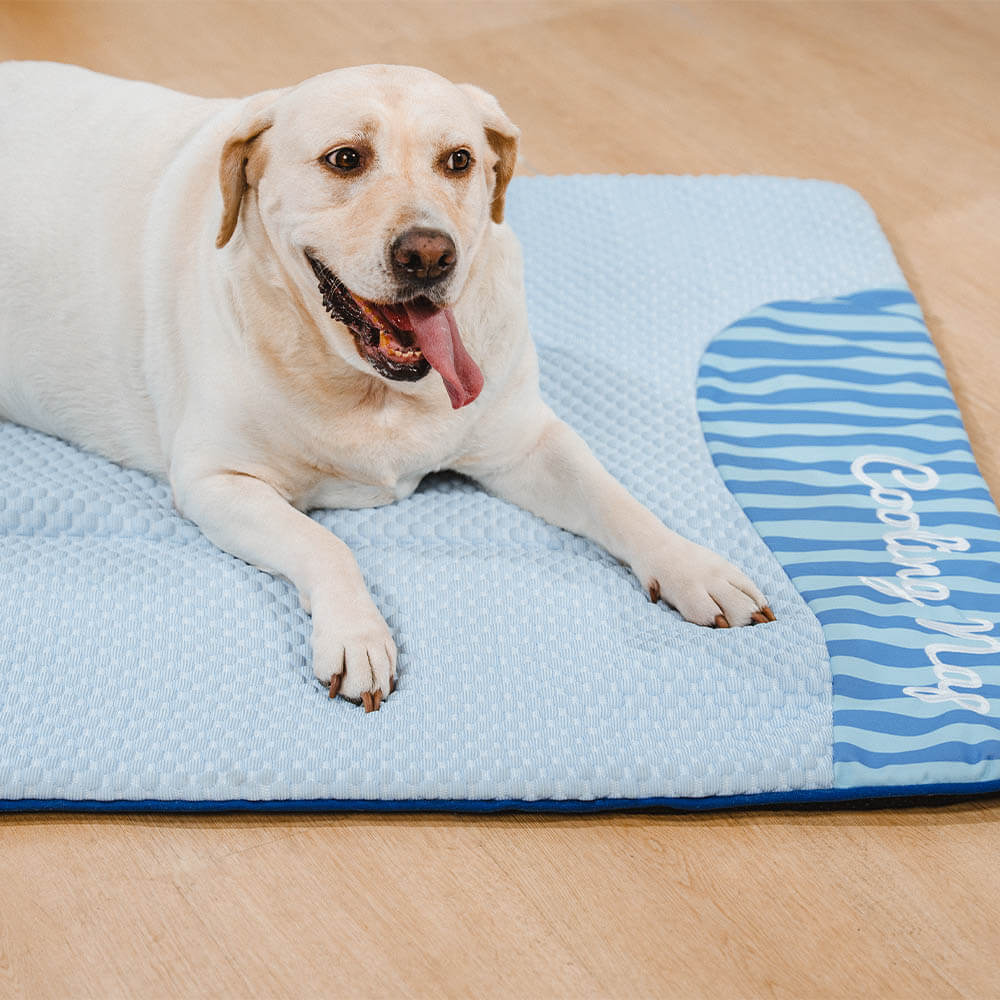 Tapis pour chien grande taille lavable rafraîchissant et antidérapant - Sieste rafraîchissante