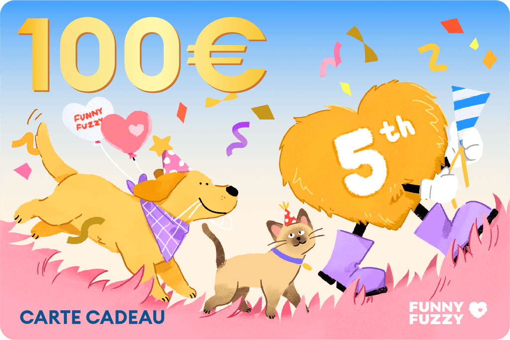 Carte Cadeau Spéciale 5e Anniversaire FUNNYFUZZY 2025