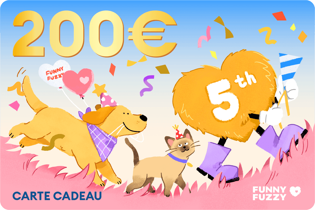Carte Cadeau Spéciale 5e Anniversaire FUNNYFUZZY 2025