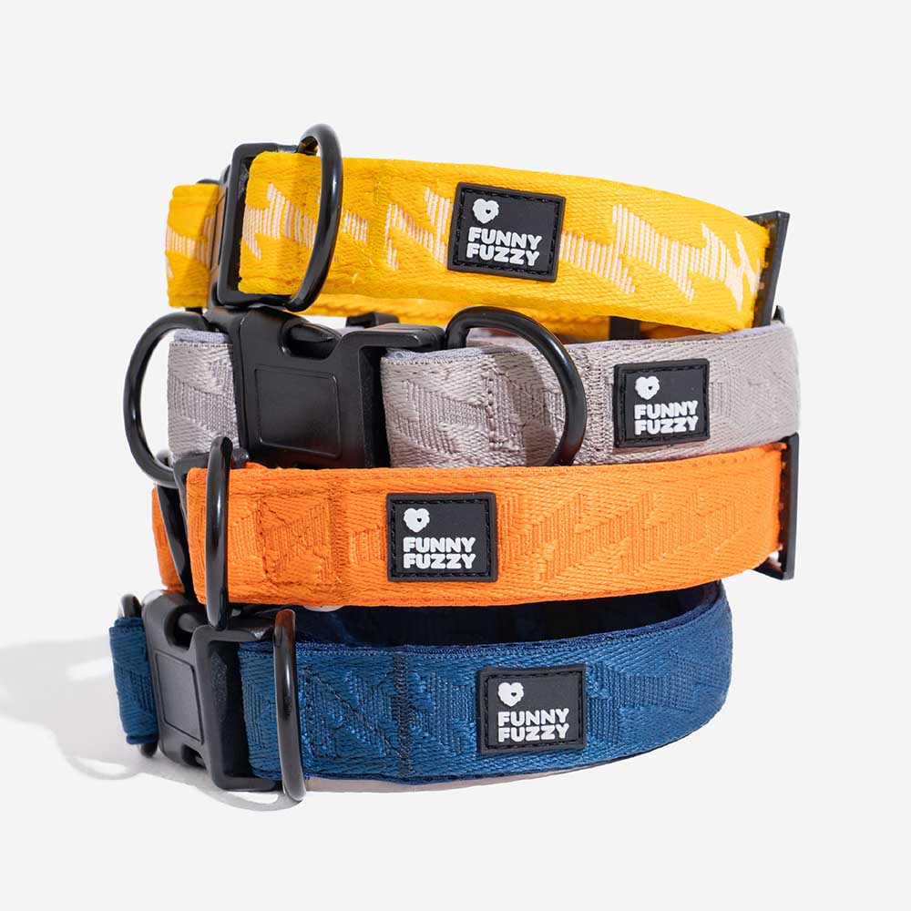 Collier pour chien réglable en nylon durable FUNNYFUZZY - Flexi Walker