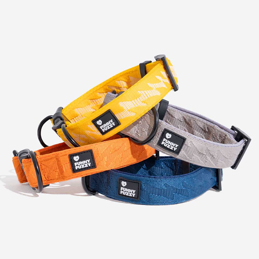 Collier pour chien réglable en nylon durable FUNNYFUZZY - Flexi Walker