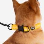 Collier pour chien réglable en nylon durable FUNNYFUZZY - Flexi Walker