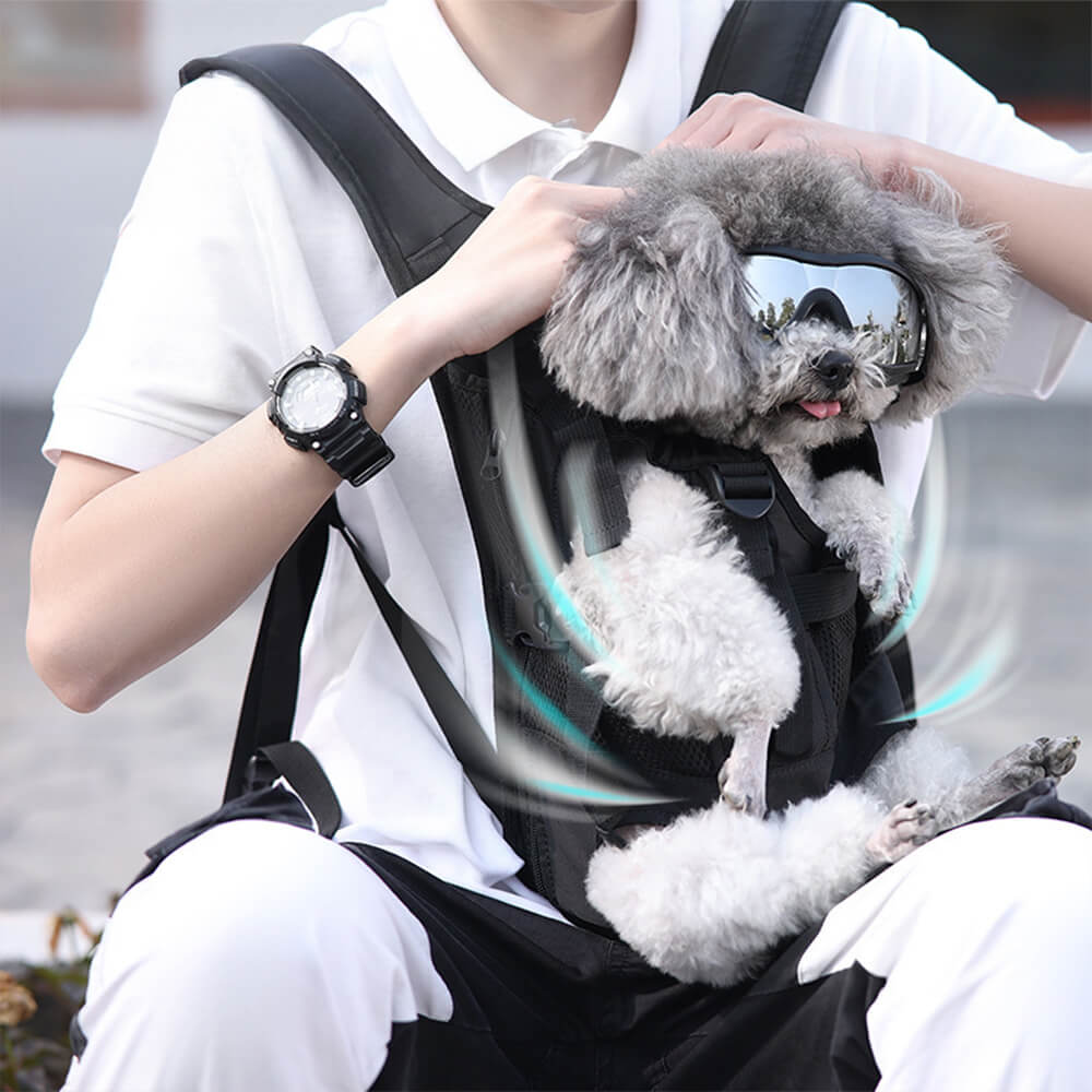 Sac à dos pour chien de voyage avant respirant et ajustable