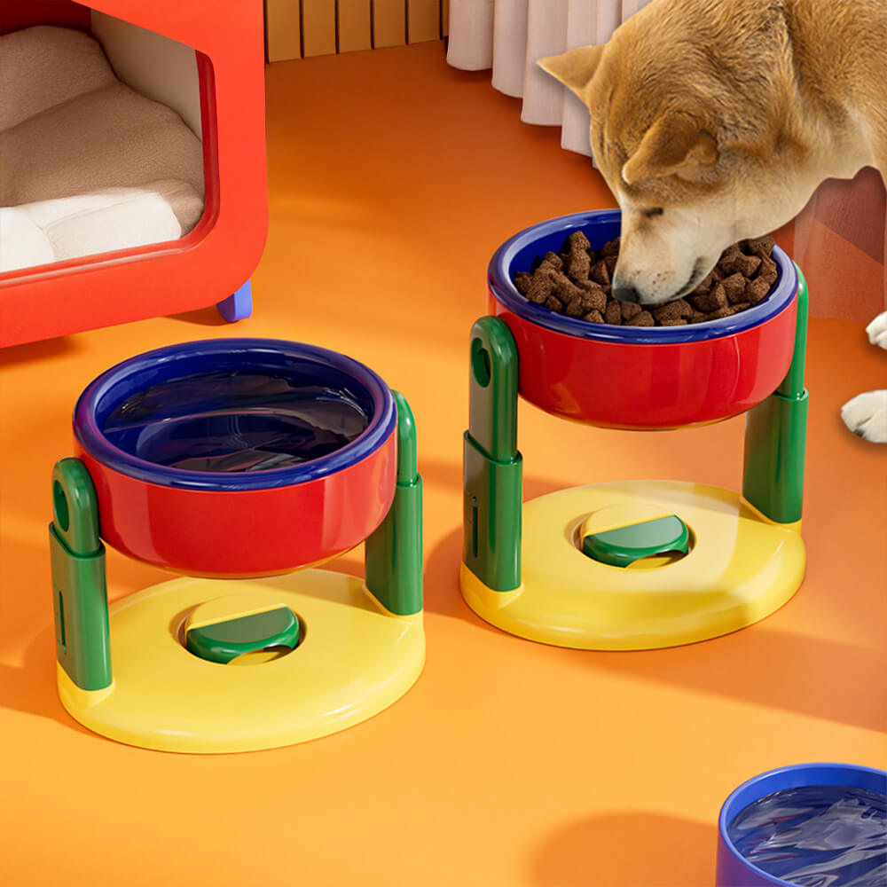 Bol surélevé pour animaux avec protection de cou réglable base antidérapante