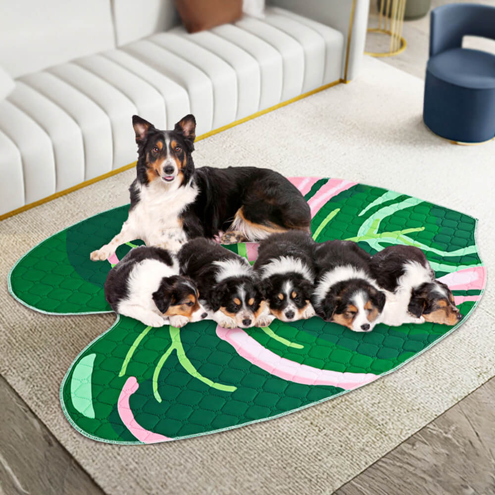 Tapis absorbant réutilisable lavable antidérapant pour chien