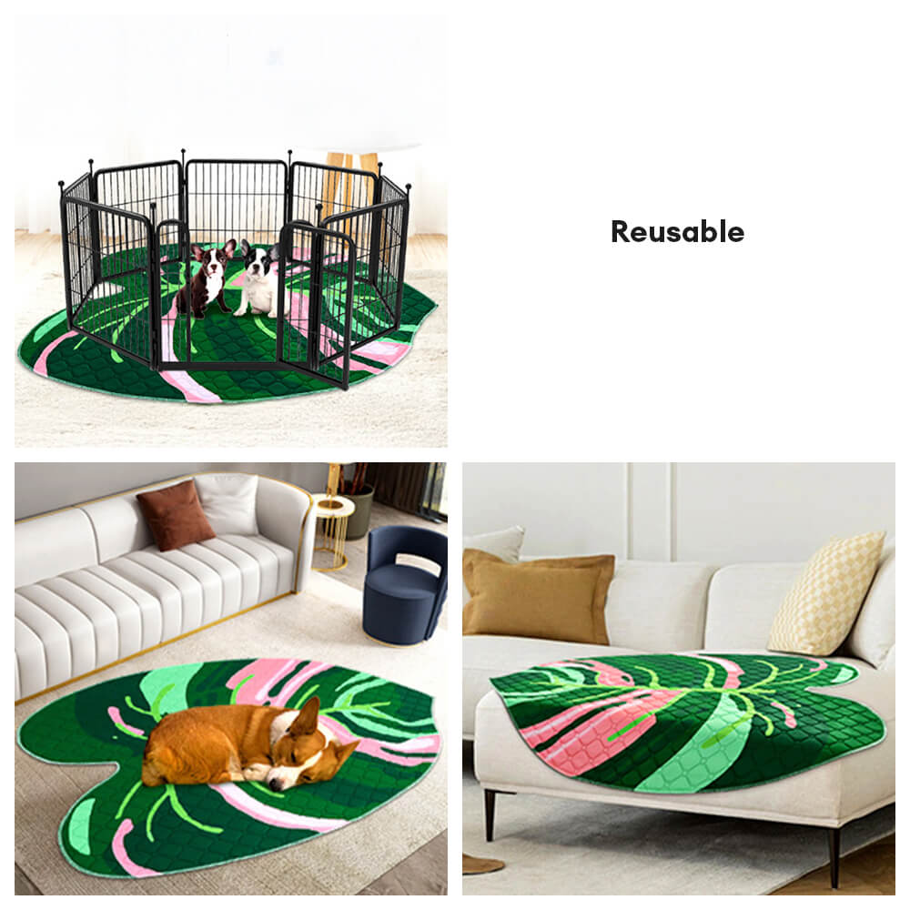 Tapis absorbant réutilisable lavable antidérapant pour chien