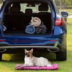 Tapis pour animaux pliable étanche pour voiture et camping extérieur