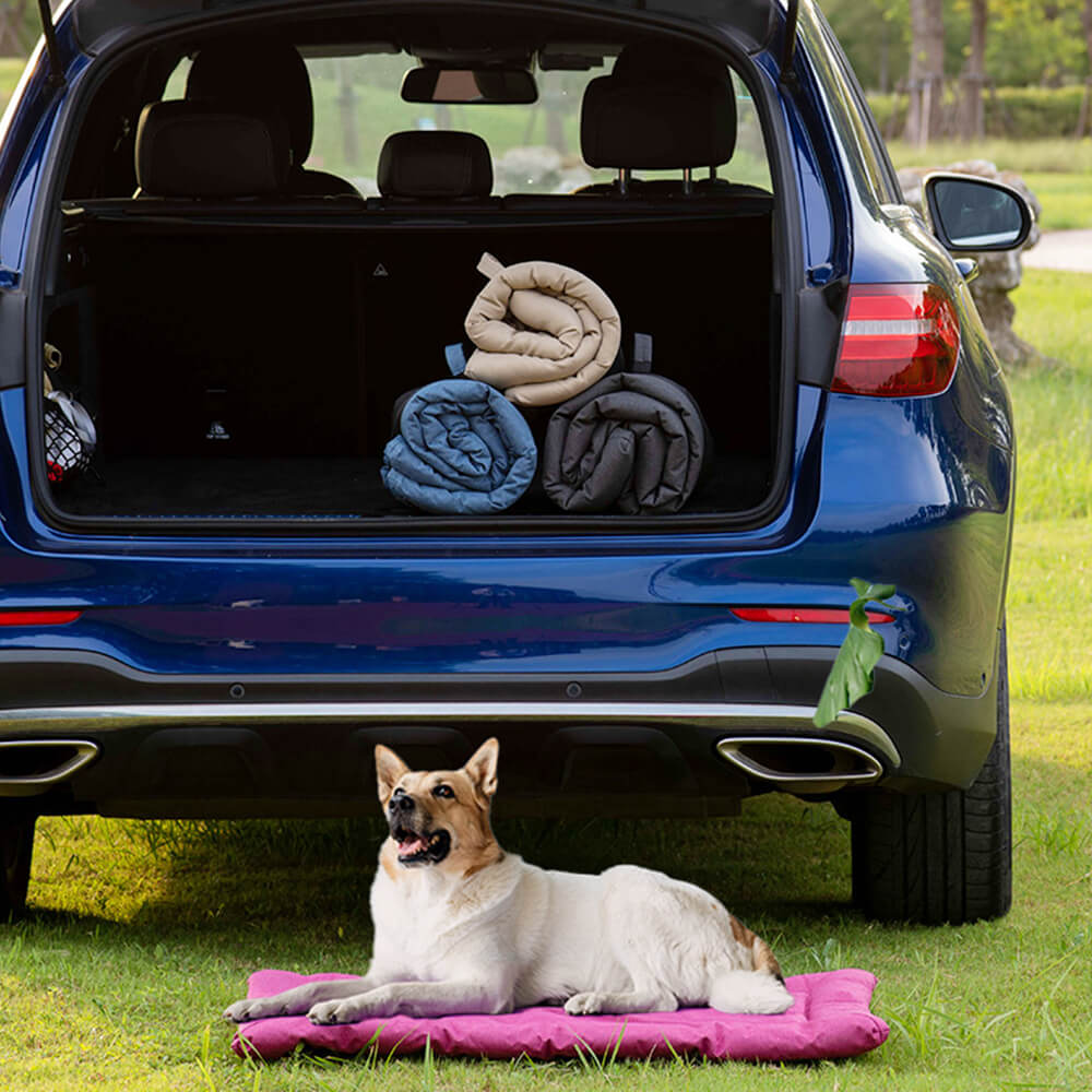 Tapis pour animaux pliable étanche pour voiture et camping extérieur