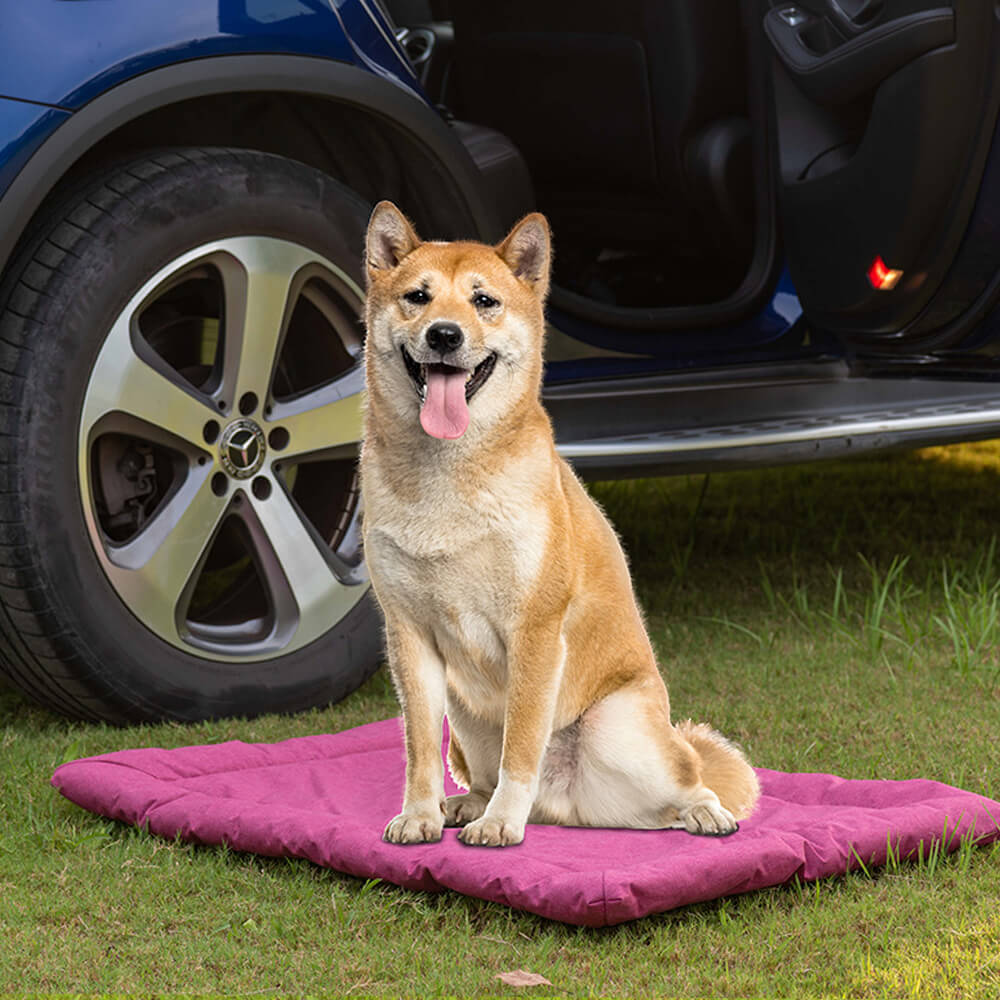 Tapis pour animaux pliable étanche pour voiture et camping extérieur