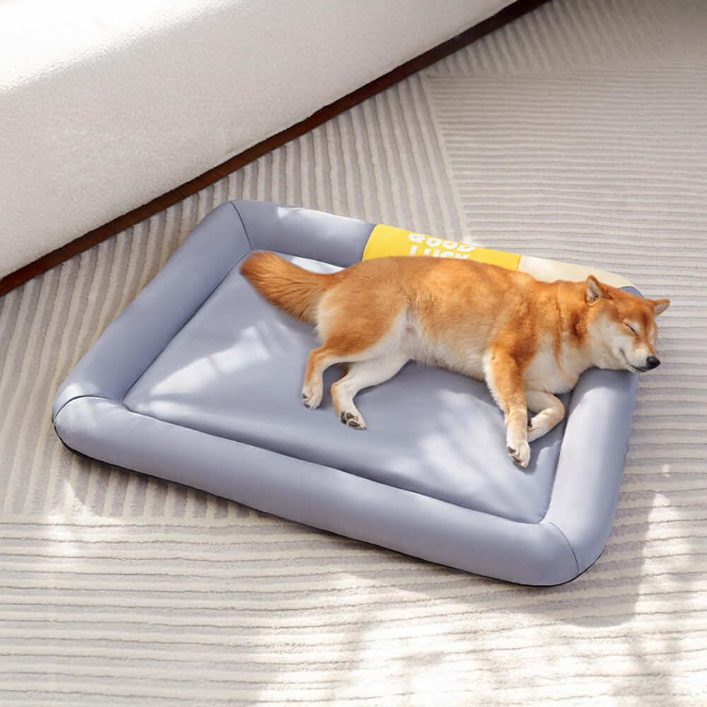 Tapis pour chien imperméable anti rayures coloris uni toutes saisons