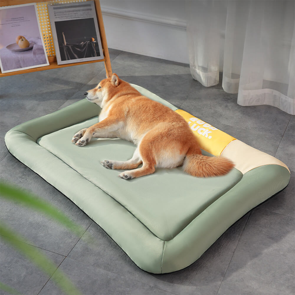 Tapis pour chien imperméable anti rayures coloris uni toutes saisons