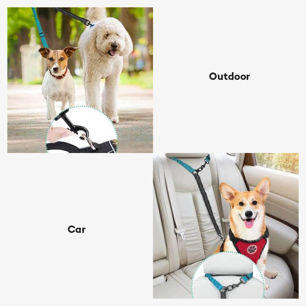 Laisse pour chien à double attache antichoc sans enchevêtrement