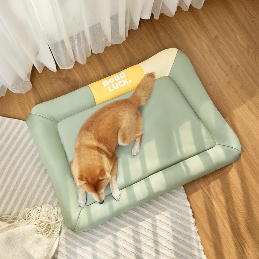 Tapis pour chien imperméable anti rayures coloris uni toutes saisons