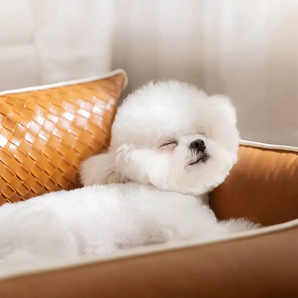 Lit pour chien en similicuir imperméable avec dos en latex protecteur