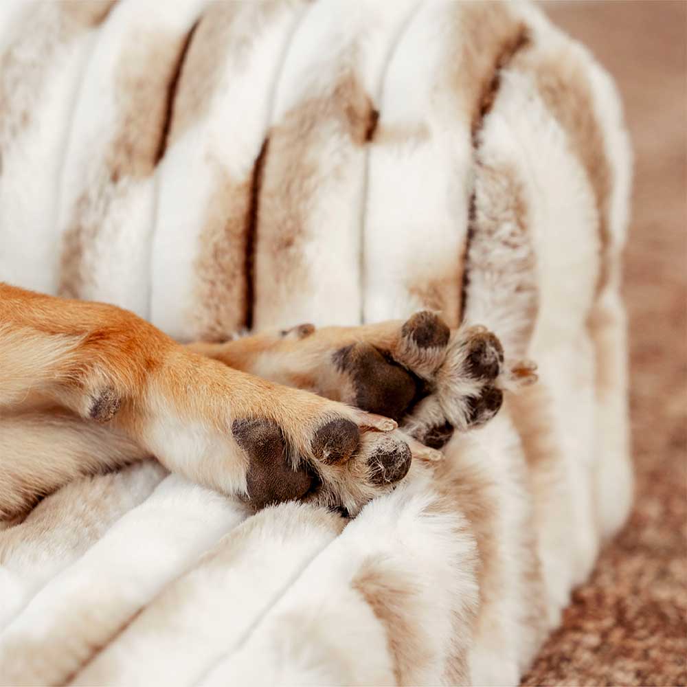 Lit orthopédique pour chien avec coussin moelleux à rayures luxe et confort