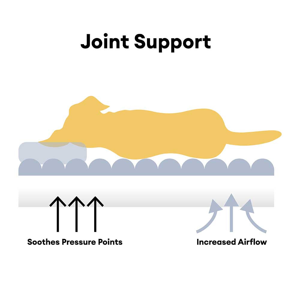 Lit orthopédique pour chien avec coussin moelleux à rayures luxe et confort