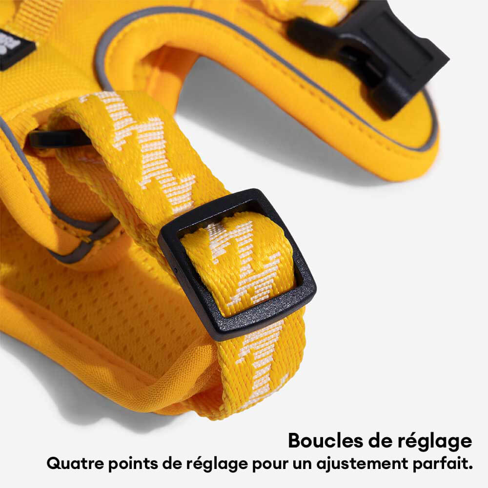 Harnais réfléchissant réglable pour chien FUNNYFUZZY - Flexi Walker