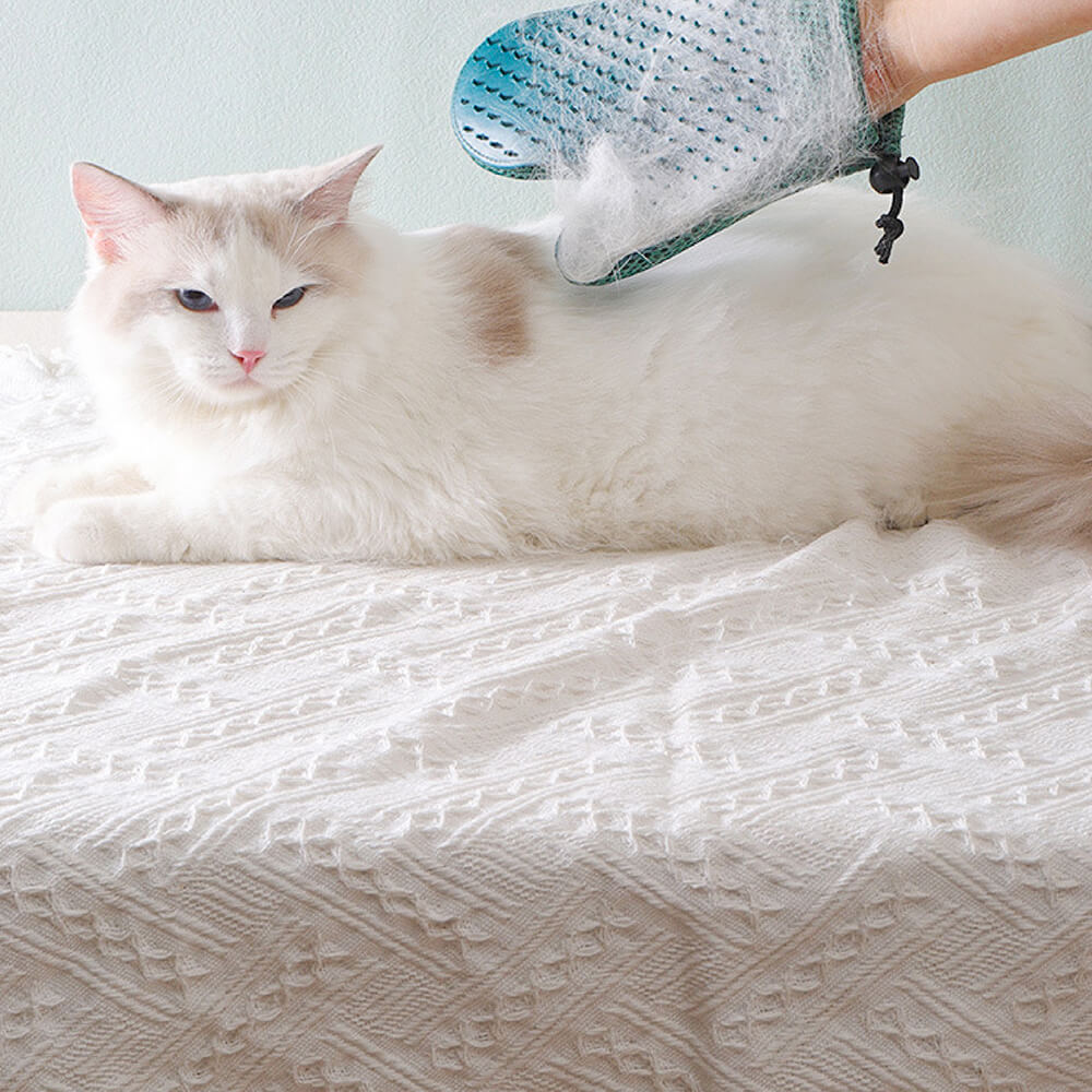 Gant de toilettage pour animaux en silicone avec brosse double face flottante-Exclusif app