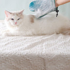 Gant de toilettage pour animaux en silicone avec brosse double face flottante-Exclusif app