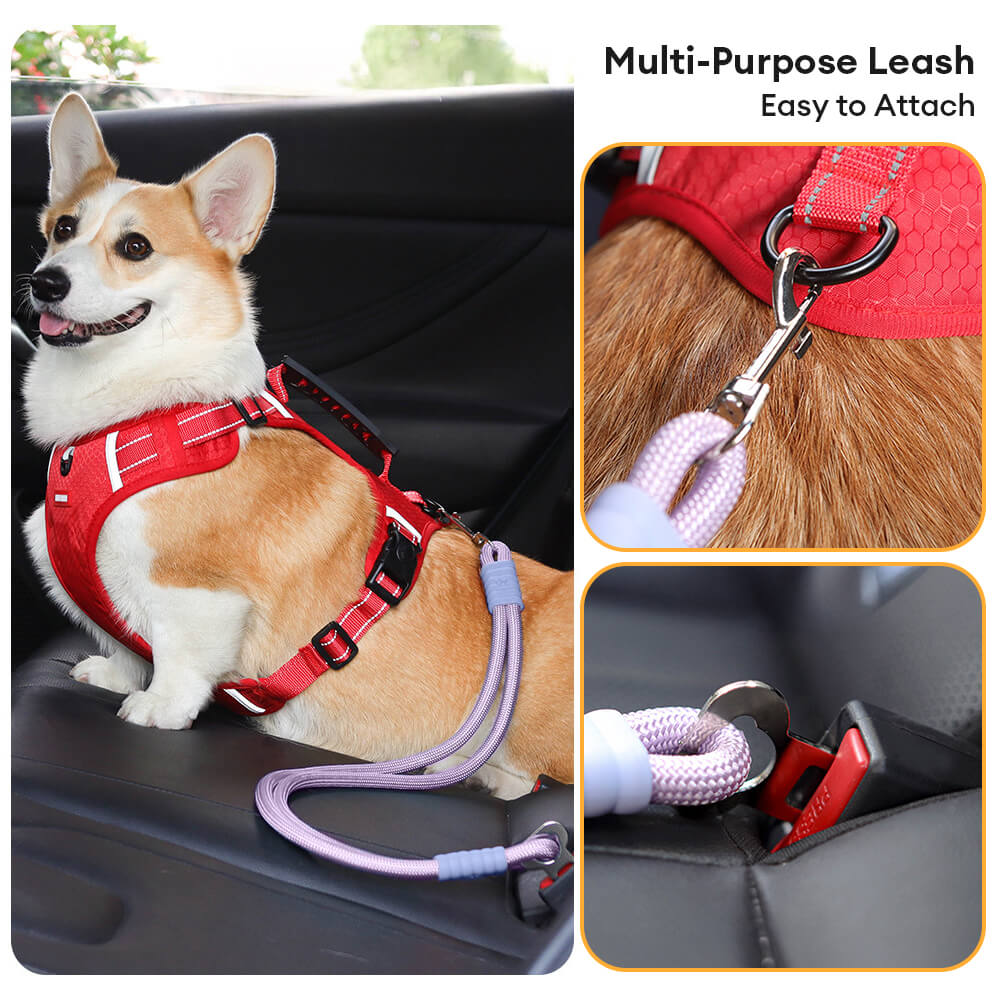 Ceinture de sécurité en nylon pour chien pour voiture anti traction