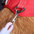 Ceinture de sécurité en nylon pour chien pour voiture anti traction