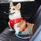 Ceinture de sécurité en nylon pour chien pour voiture anti traction