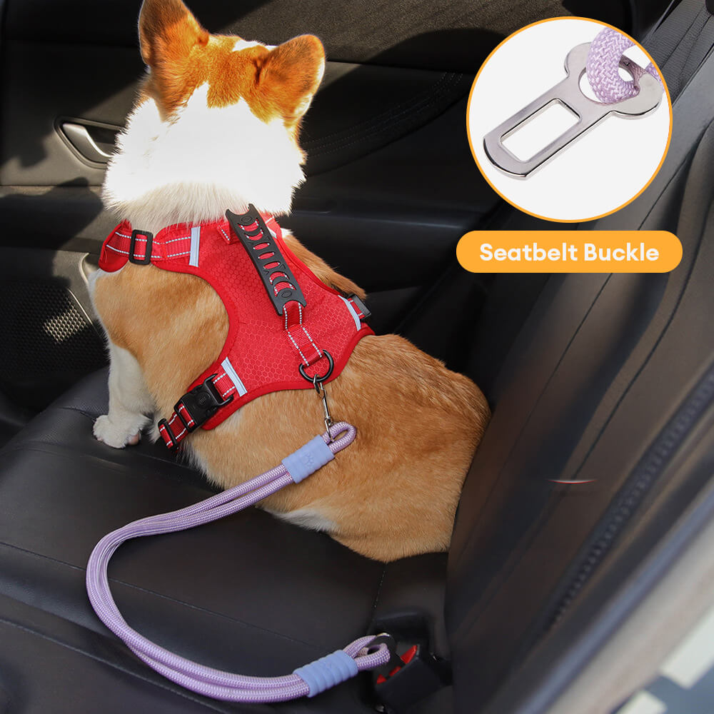 Ceinture de sécurité en nylon pour chien pour voiture anti traction