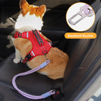 Ceinture de sécurité en nylon pour chien pour voiture anti traction
