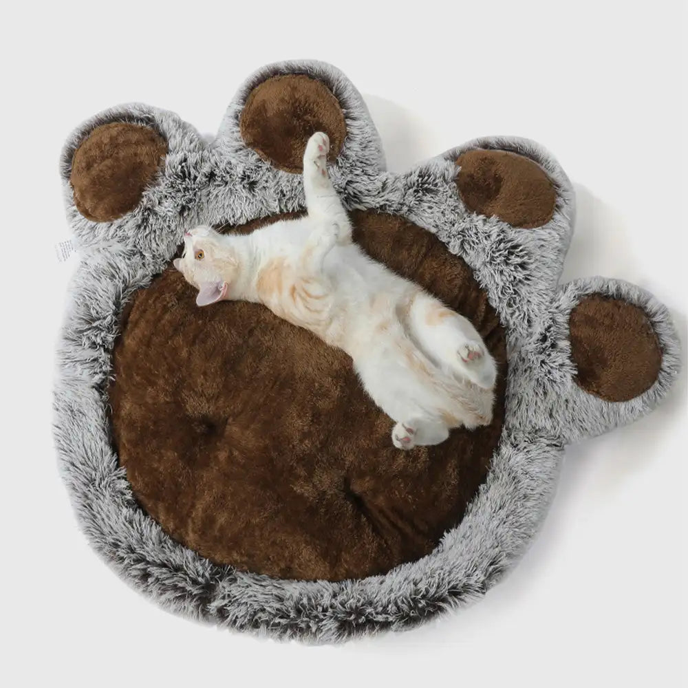 Tapis pour animaux en peluche ours moelleux confortable grand espace pour chien