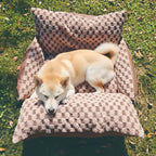 Siège pour animal de compagnie et transporteur 2-en-1 en simili cuir à motif damier avec console de sécurité au centre.