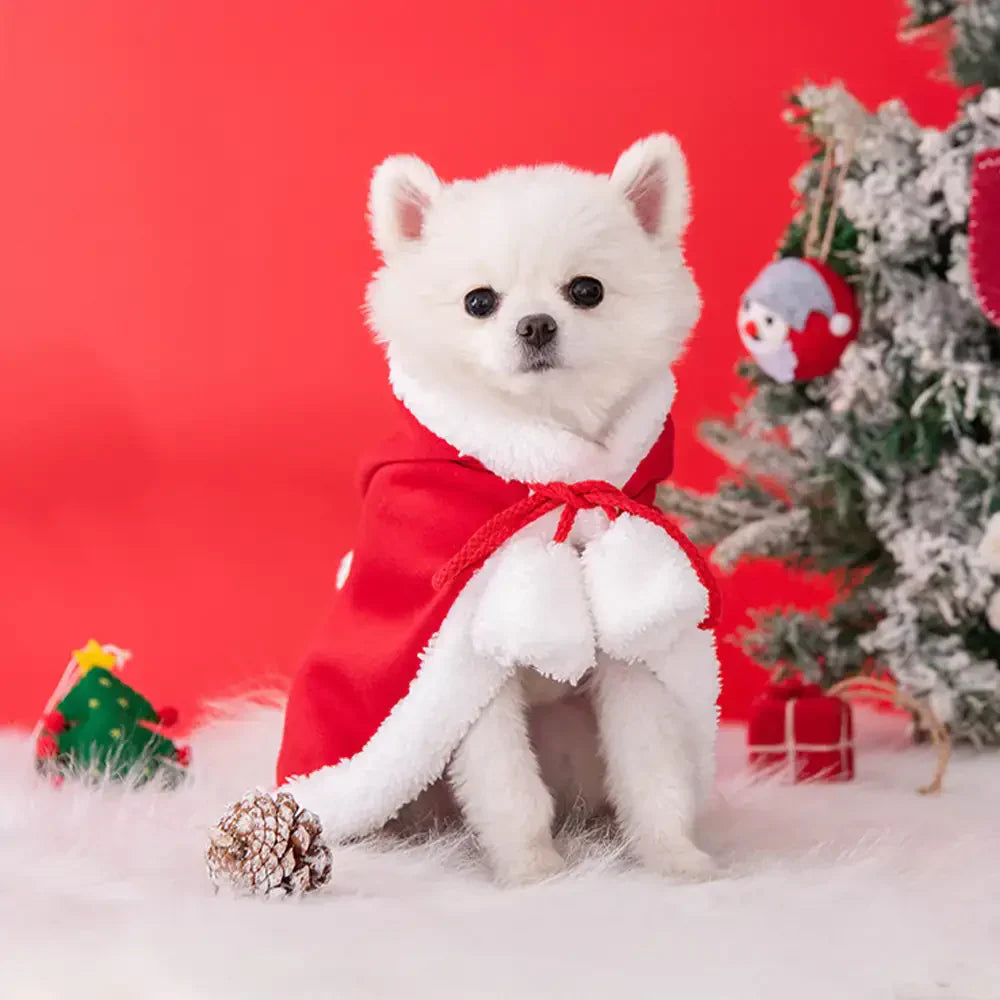 Cape en peluche chaude pour chien avec chapeau de Noël Santa Pet