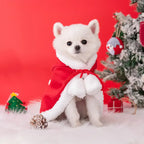 Cape en peluche chaude pour chien avec chapeau de Noël Santa Pet