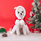 Cape en peluche chaude pour chien avec chapeau de Noël Santa Pet
