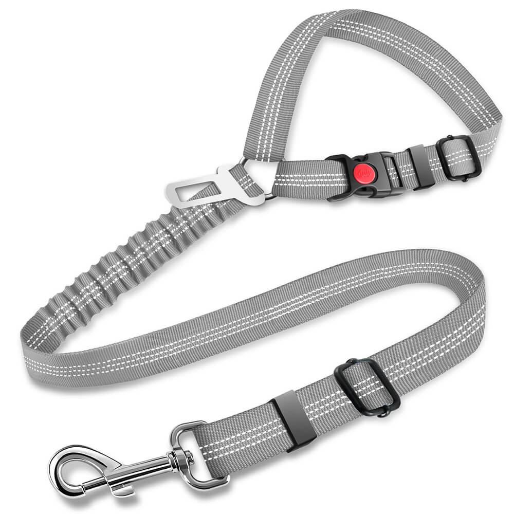 Ceinture de sécurité pour chien avec attache pour appui-tête de voiture