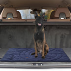 Tapis de voiture pliable étanche et portable pour chien tapis de camping pour chien