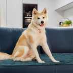 Tapis de voiture pliable étanche et portable pour chien tapis de camping pour chien