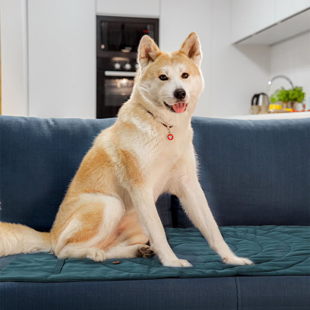 Tapis de voiture pliable étanche et portable pour chien tapis de camping pour chien