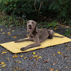 Tapis de voiture pliable étanche et portable pour chien tapis de camping pour chien