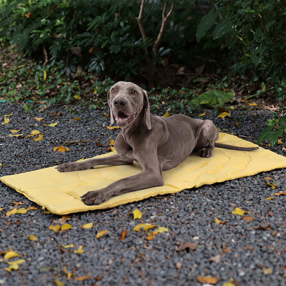 Tapis de voiture pliable étanche et portable pour chien tapis de camping pour chien