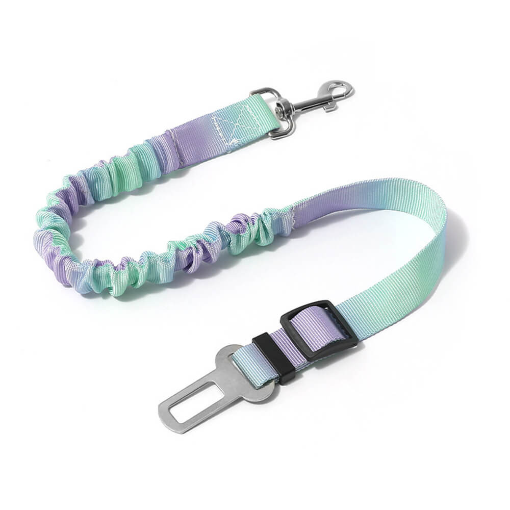 Ceinture de sécurité pour animaux avec amorti élastique dégradé