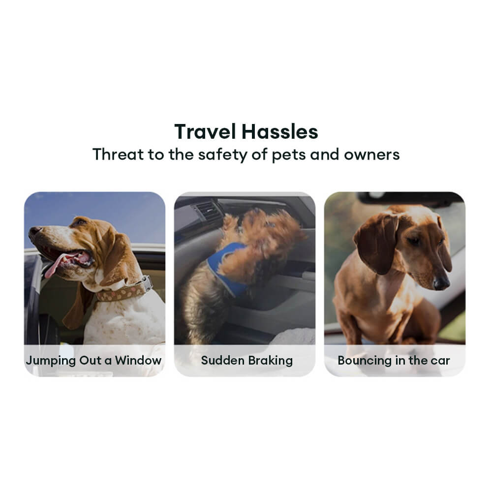 Ceinture de sécurité pour animaux avec amorti élastique dégradé