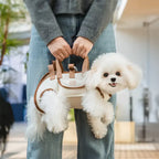 Sac à dos pour petits chiens de transport croisé portable et multifonctionnel