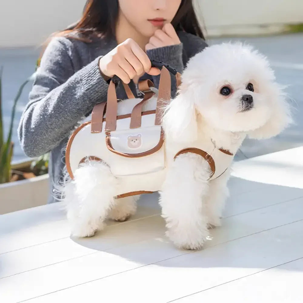 Sac à dos pour petits chiens de transport croisé portable et multifonctionnel