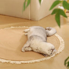 Tapis en jute tissé à la main style nordique durable avec franges pour chat